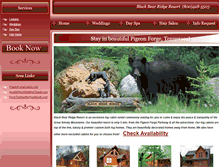 Tablet Screenshot of blackbearridgeresort.com